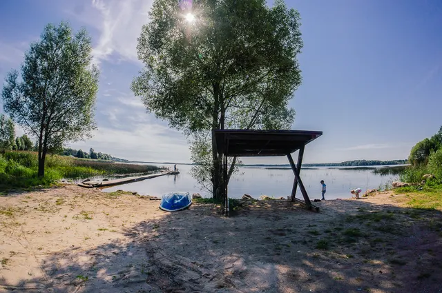 Врево — деревья у воды